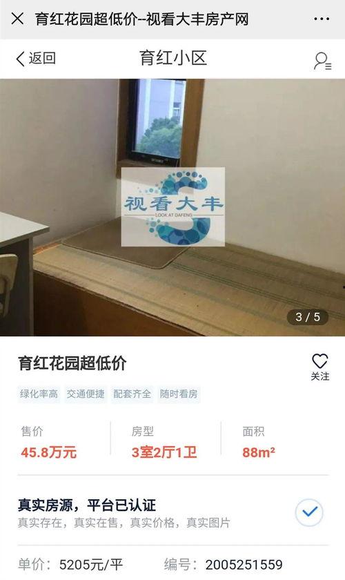 大丰房产爆料最新消息今天,今日热点聚焦，揭秘房产市场新动态！”